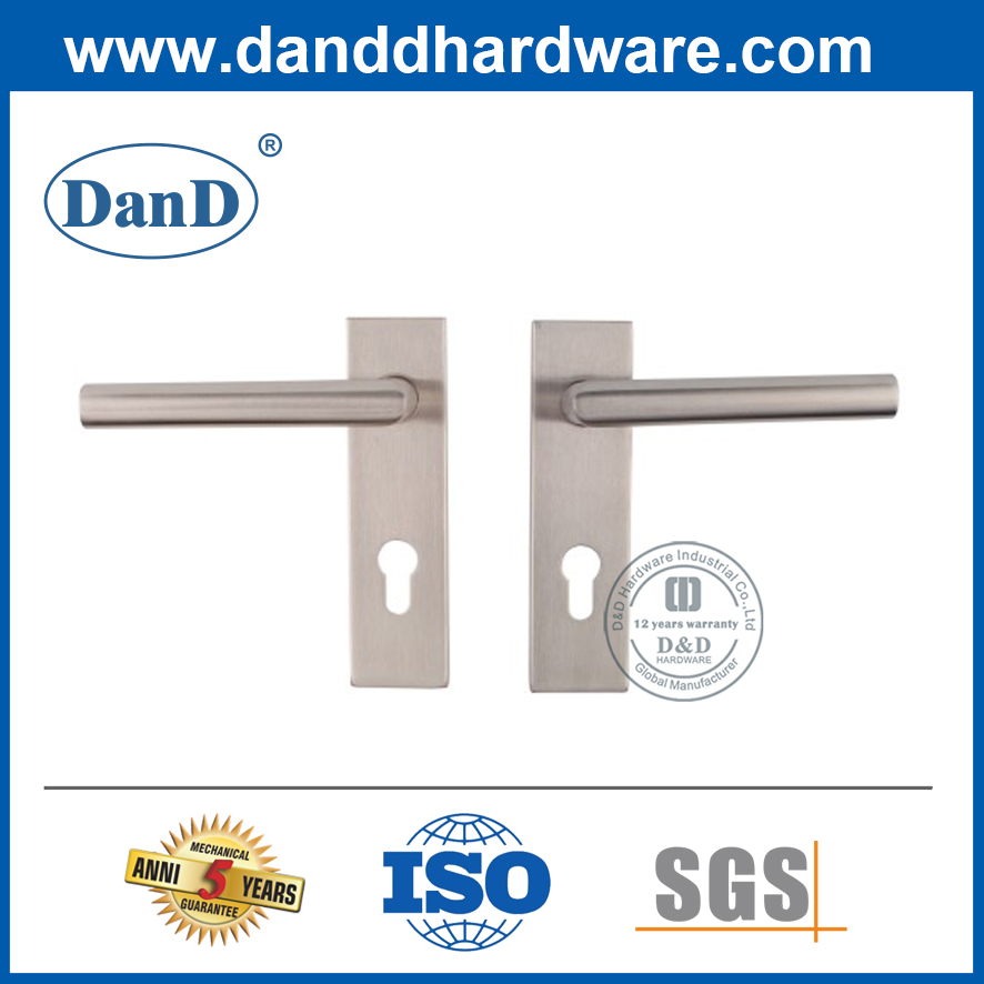 Stainless Steel Decorative Door Handle with Cylinder Backplate-DDTP008