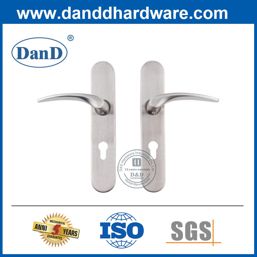 Stainless Steel Backplate Lever Handle with Cylinder Hole-DDTP003