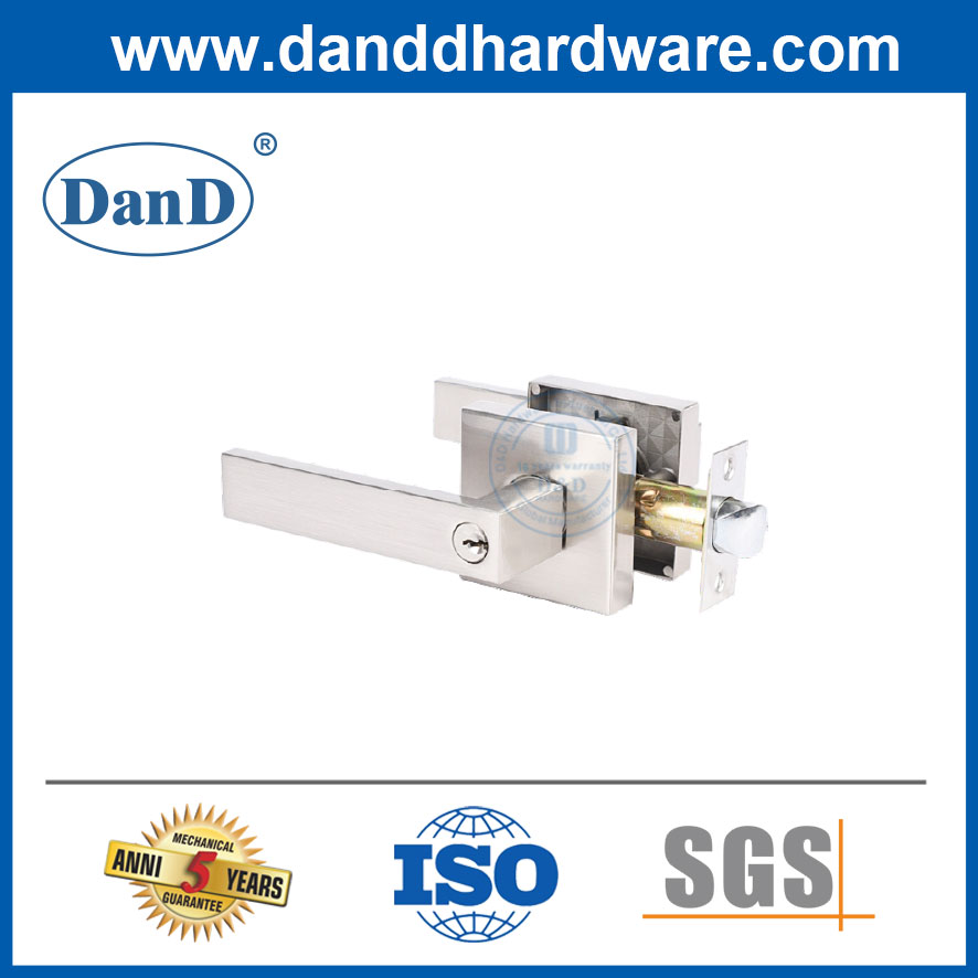 European Door Locksets Double Modern Entry Door Locksets-DDLK020