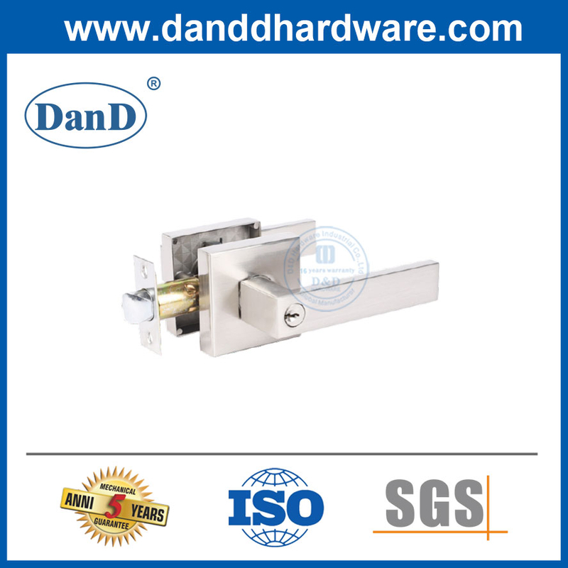 European Door Locksets Double Modern Entry Door Locksets-DDLK020