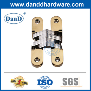 Polished Brass Zinc Alloy Gold Door Fitting Outdoor Concealed Hinges-DDCH007