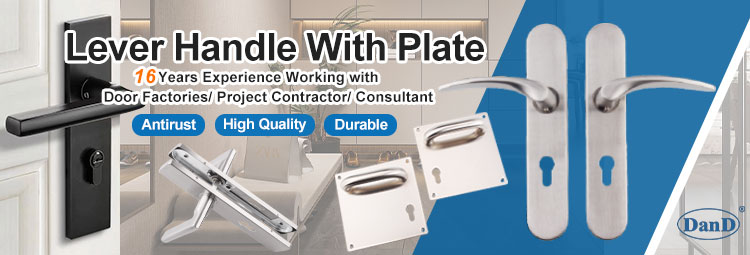 Door Handle for hotel