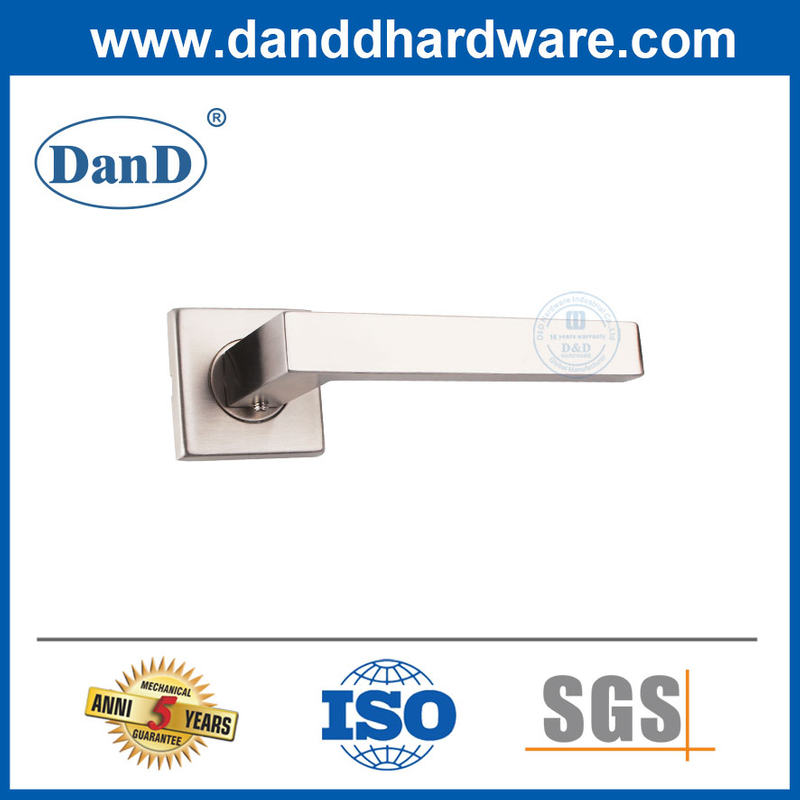 Satin Stainless Steel Entry Metal Door Lever Main Door Handle-DDTH020