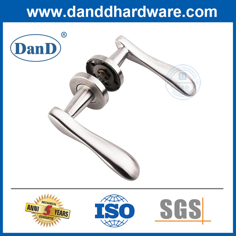 Unique Door Handles Solid Lever Satin Stainless Steel Fancy Door Handles-DDSH014