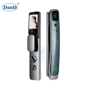 Security Card Password Intelligent Electronic Keypad Smart Fingerprint Lock-DDFL029