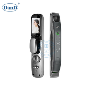 Apartment Electronic Key Card Smart Camera Biometric Fingerprint Door Lock-DDFL033