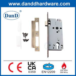 High Quality Security Antique Brass Europe Mortise Door Body Lock with CE EN12209-DDML009-5572
