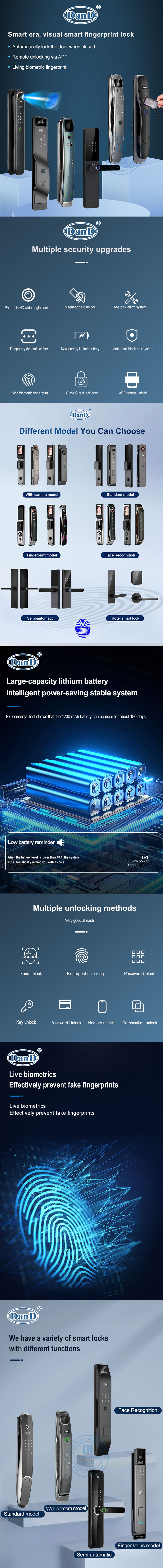 smart door lock with handle