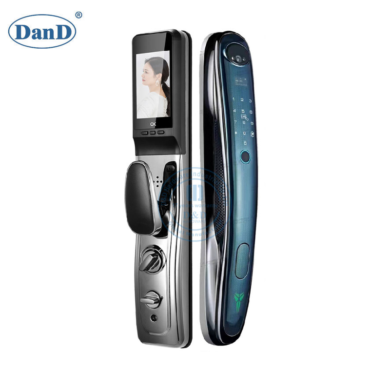 Villa Entrance Door Visible Facial Recognition Fingerprint Password Smart Locks-DDFL060