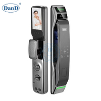 intelligent Digital Biometrics Electronic Password Smart Door Lock with Keypad-DDFL067