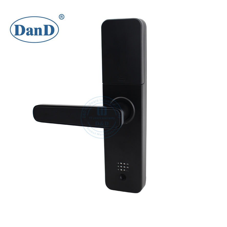 Security Intelligent Fingerprint Smart Bedroom Door Lock-DDFL106