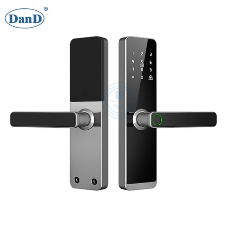 High Security Anti-Peep Code Fingerprint Door Handle Intelligent Digital Smart Lock-DDFL079