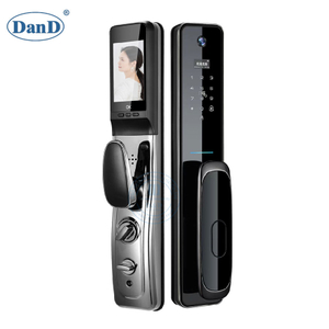 Electronic Automatic Smart Eye Viewer Key Fingerprint Password Card Door Lock-DDFL030