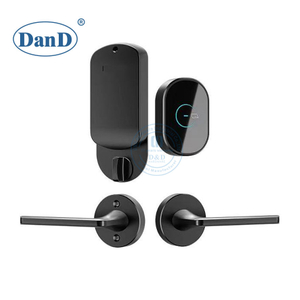 Separate Swipe Card Keyless Entry Door Hotel Smart Lock with Lever Handle-DDFL203