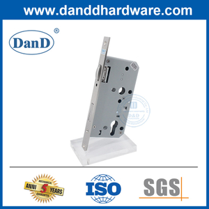 Security South American Mortise Lock Body Stainless Steel 304 Roller Bolt Dead Lock-DDML010-5572