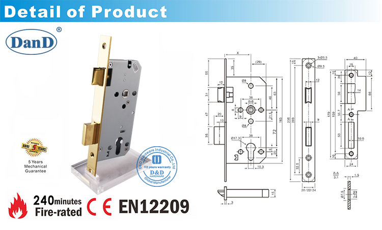 Polished Brass-CE Mortise Door Lock DDML009-D and D Hardware