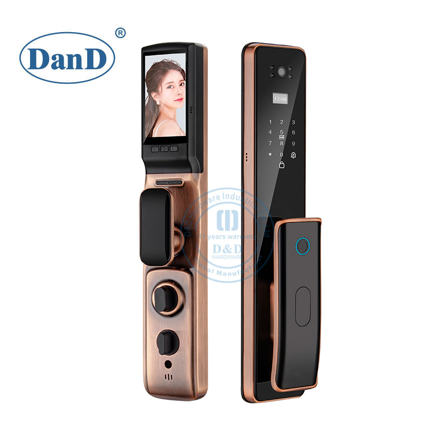 Facial Recognition Apartment Smart Door Lock Digital Keypad Supplier-DDFL309
