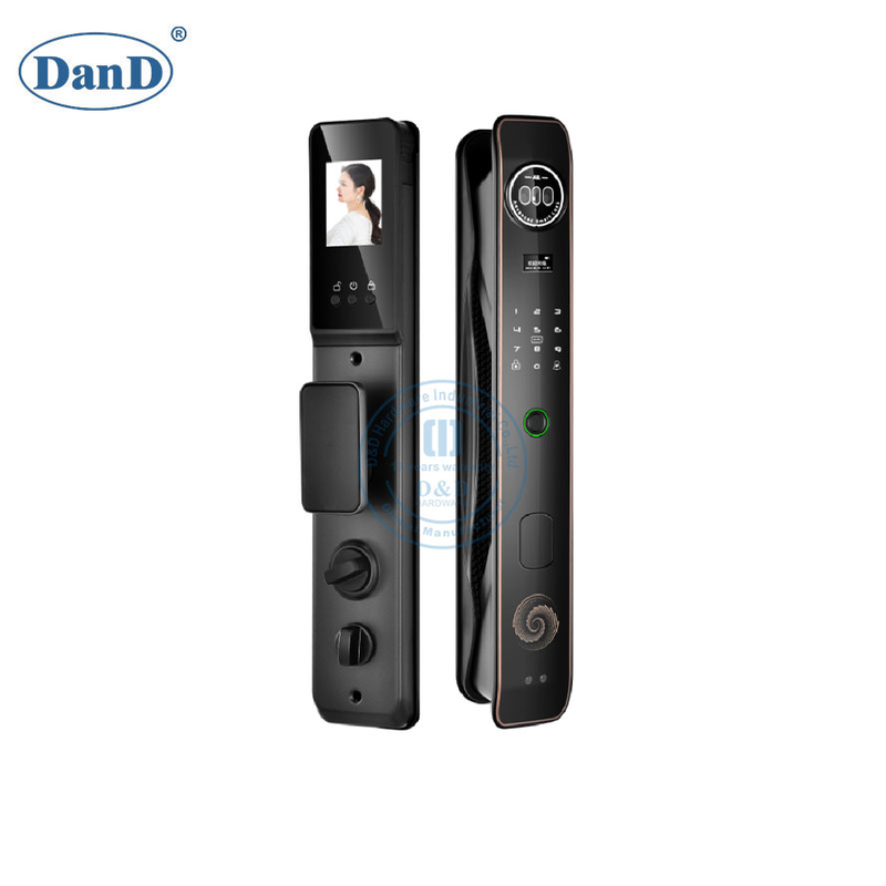 Automatic Digital Password Card Biometric Fingerprint Face Recognition Smart Lock-DDFL041