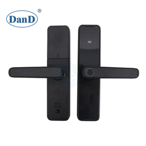 Security Intelligent Fingerprint Smart Bedroom Door Lock-DDFL106