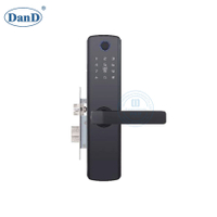 Card Door Lock Electronic Door Handle Lock Smart Hotel Wireless Door Lock-DDFL414