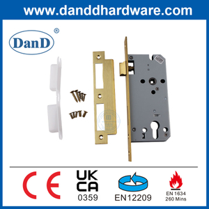 CE EN12209 SUS304 Mortise Lock Fire Rated Satin Brass Entry Door Locks-DDML009-5572
