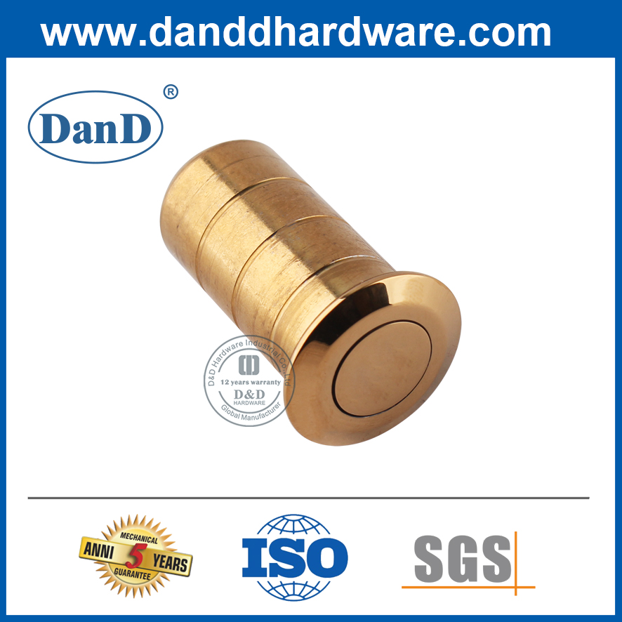 Stainless Steel Polished Brass Dust Proof Strike for Metal Door-DDDP002
