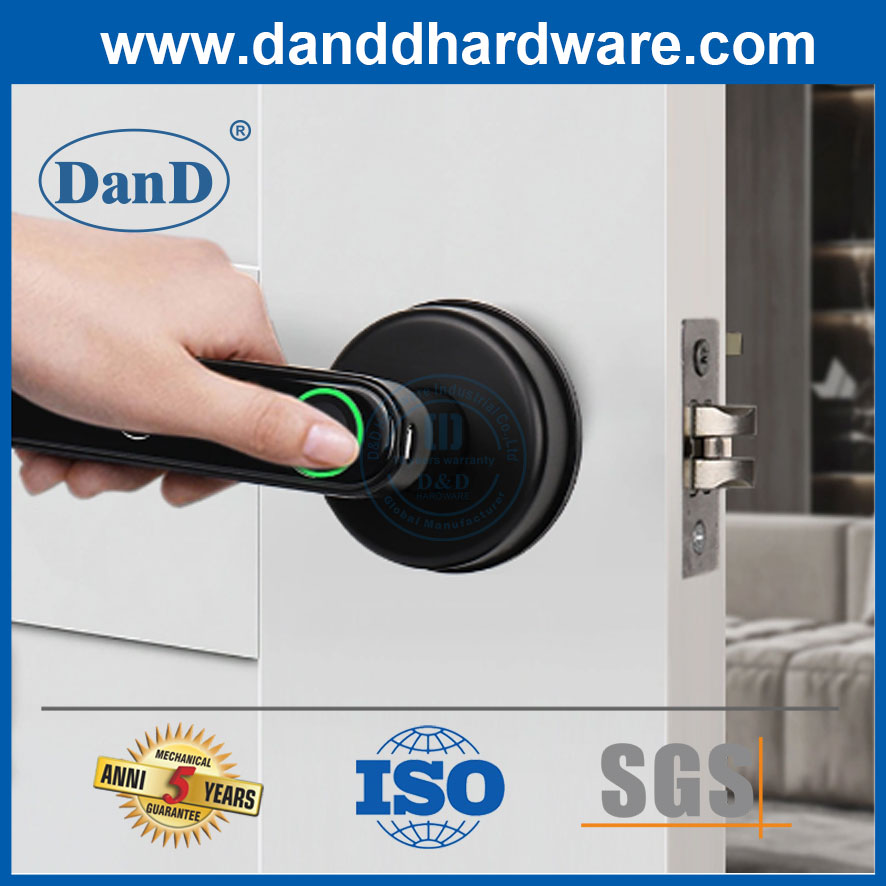 Security Fingerprint Password Black Lever Handle Keyless Bedroom Smart Door Lock-DDFL102