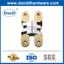 180 Degree Invisible Hinges Satin Brass Zinc Alloy Hidden Door Hinges-DDCH007