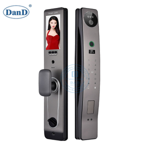 Full Automatic Security Camera Keyless Smart Door Lock with Fingerprint Unlock-DDFL072