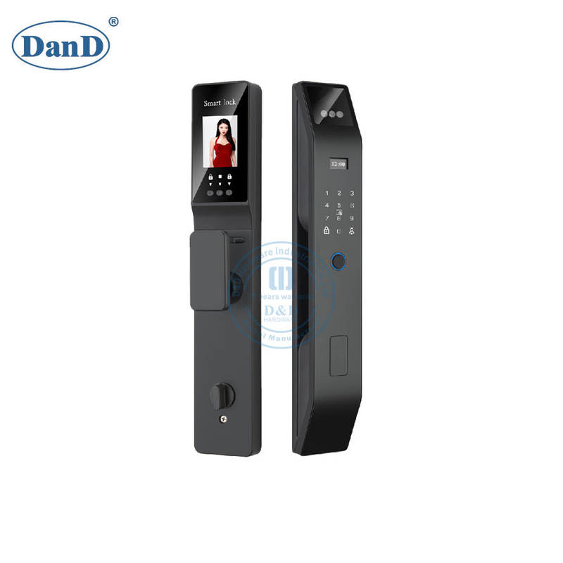 Main Home Entrance Gate Waterproof Camera Screen 3D Biometric Face Recognition Smart Lock-DDFL040