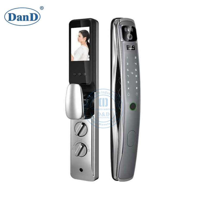 Safe House Electronic Biometric Facial 3D Face Recognition Smart Door Locks-DDFL044
