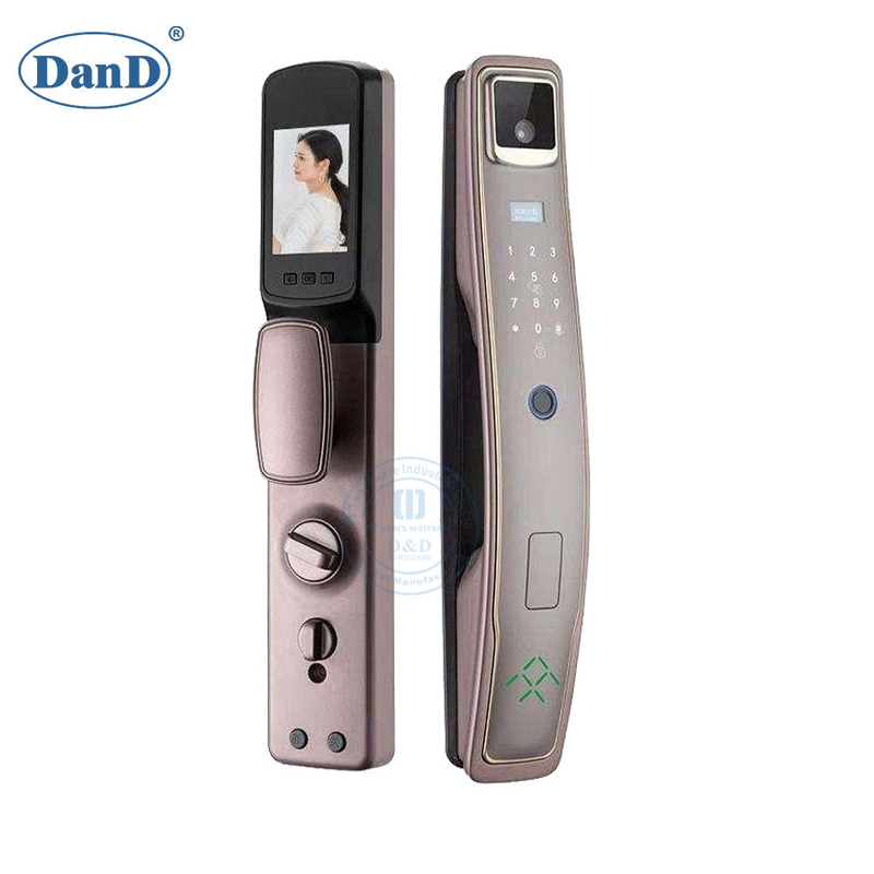Lock Manufacturer Waterproof Electronic Smart External Lock With Camera-DDFL025