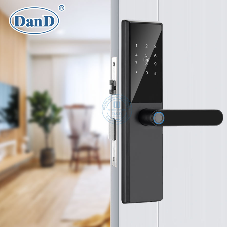 Electronic Password Digital IC Card Fingerprint Bedroom Smart Lock-DDFL107