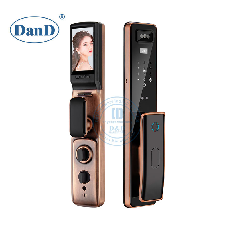Facial Recognition Apartment Smart Door Lock Digital Keypad Supplier-DDFL309