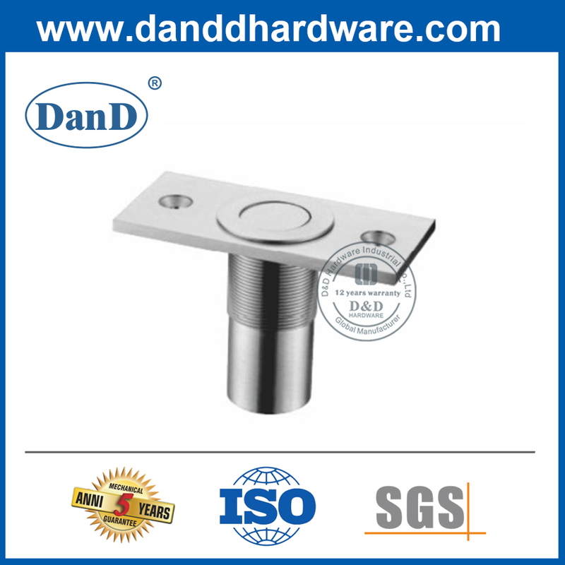 Brass Accessories Dust Proof Strike with Plate-DDDP004