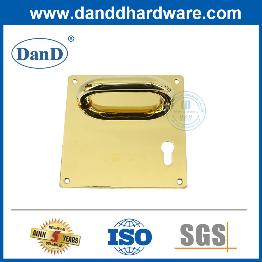 Door Handle on Square Plate