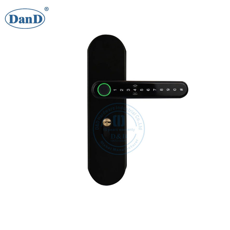 Security Fingerprint Password Black Lever Handle Keyless Bedroom Smart Door Lock-DDFL102