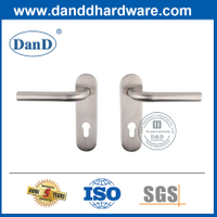 Stainless Steel Decorative Door Handle with Cylinder Backplate-DDTP008