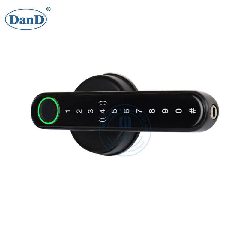 Security Fingerprint Password Black Lever Handle Keyless Bedroom Smart Door Lock-DDFL102