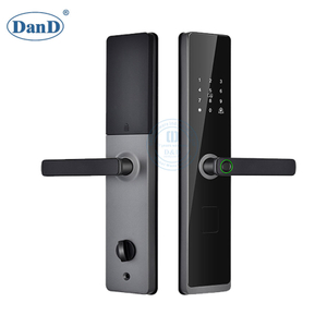 Password Smart Door Handle Lock Keypad House Lock for Apartment-DDFL077