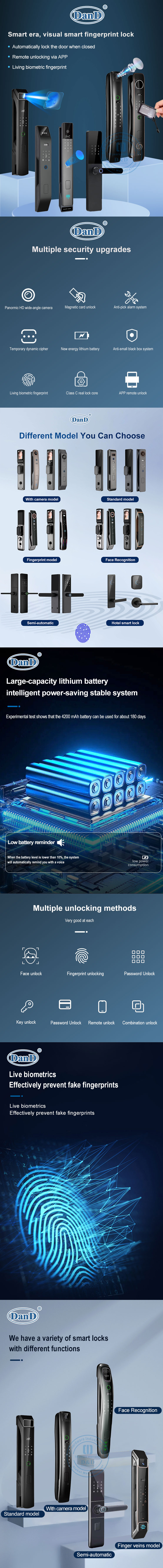 smart door lock with handle