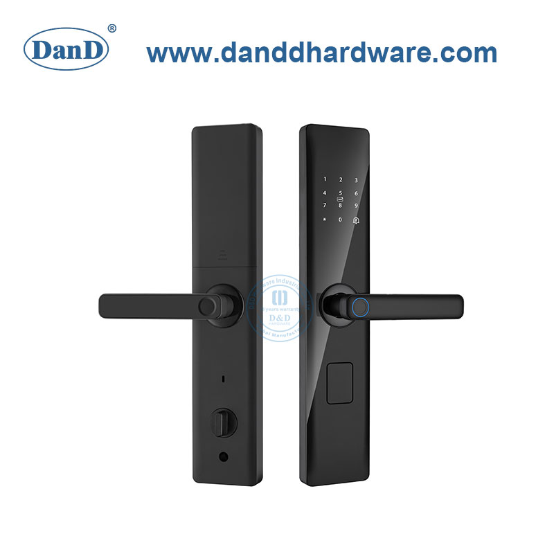 Electronic Safe Combination Card Digital Apartment Smart Lock with Handle-DDDL002