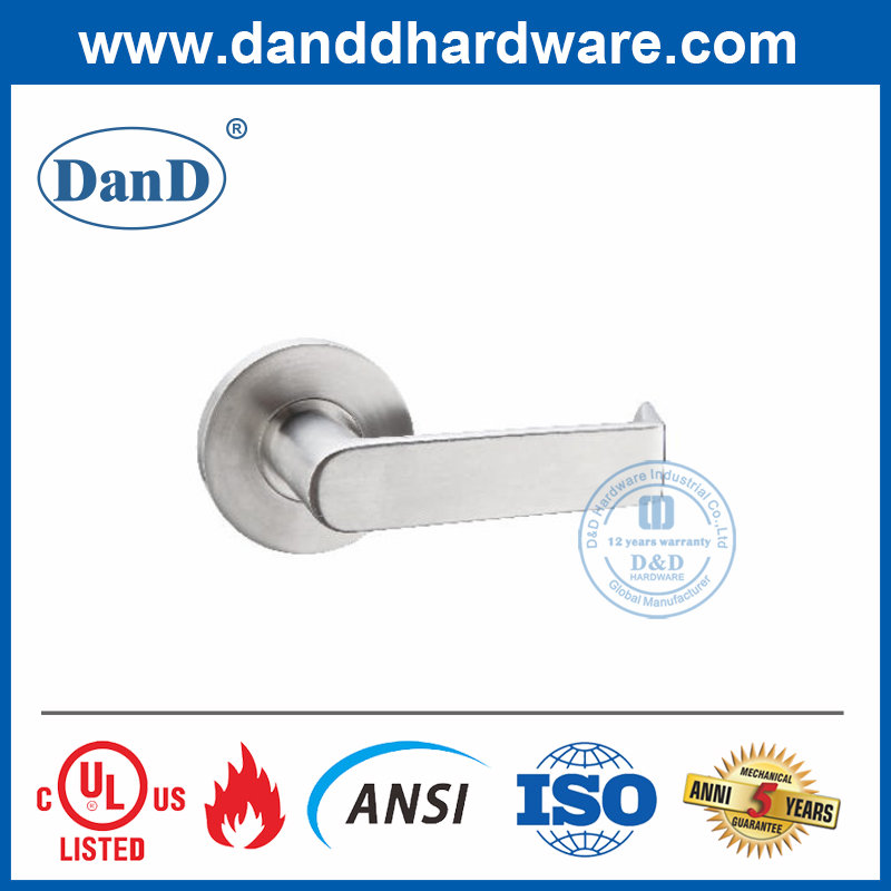 Stainless Steel 316 Solid Lever Handle for Entry Door-DDAH002