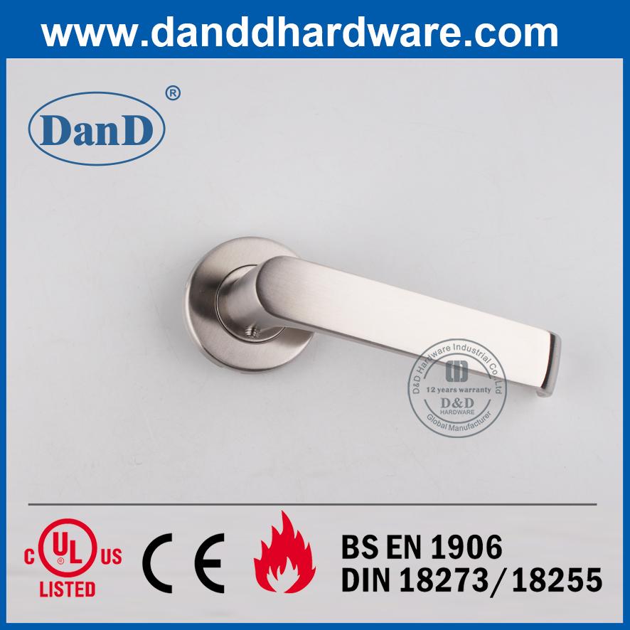 Stainless Steel 304 Modern Solid Lever Exterior Door Handle-DDSH036
