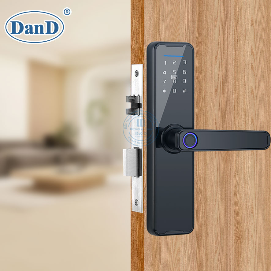Electronic Room Household Security Intelligent Fingerprint Outdoor Door Handle Locks-DDFL106