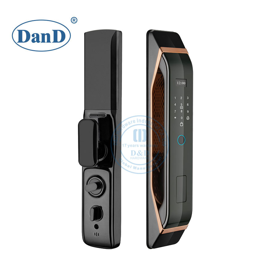 3D Facial Recognition Password Electronic Smart Fingerprint Lock for Doors-DDFL310